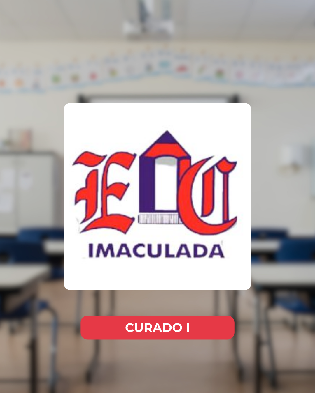 Carrossel das Escolas (13)