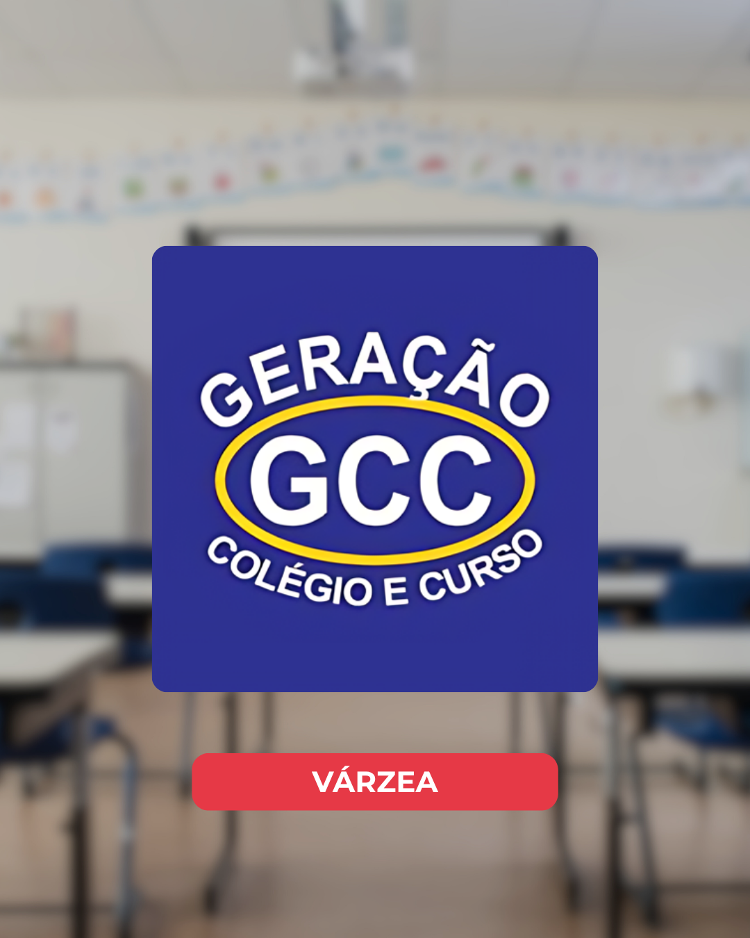 Carrossel das Escolas (6)